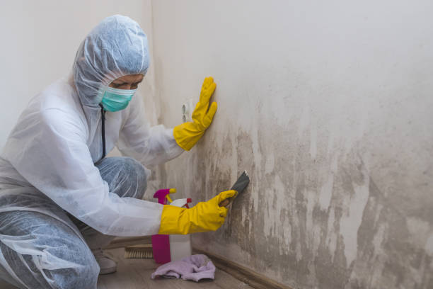 Best Mold Odor Removal Services  in Gettysburg, PA